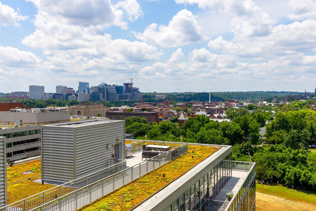 a green roof with a view of the minneapolis skyline