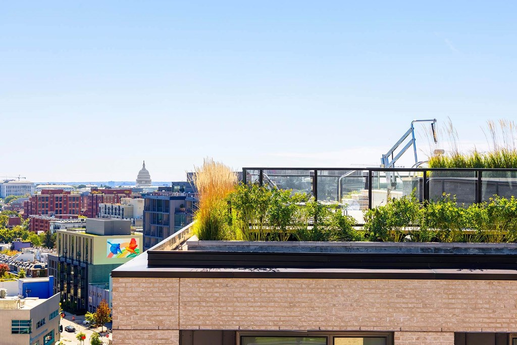 a green roof on a building with a city in the background