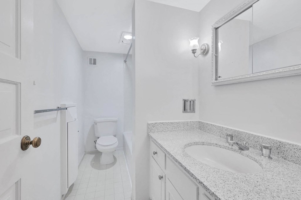 a bathroom with a sink and a toilet
