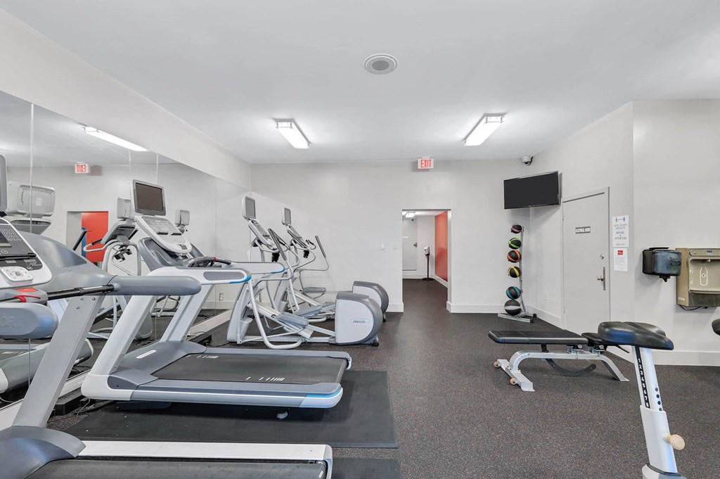 A gym with treadmills, exercise bikes, and other equipment.