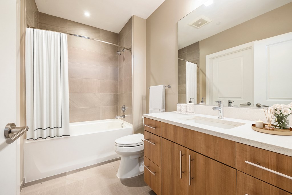 a bathroom with a bathtub toilet and sink  at The Bartlett, Virginia
