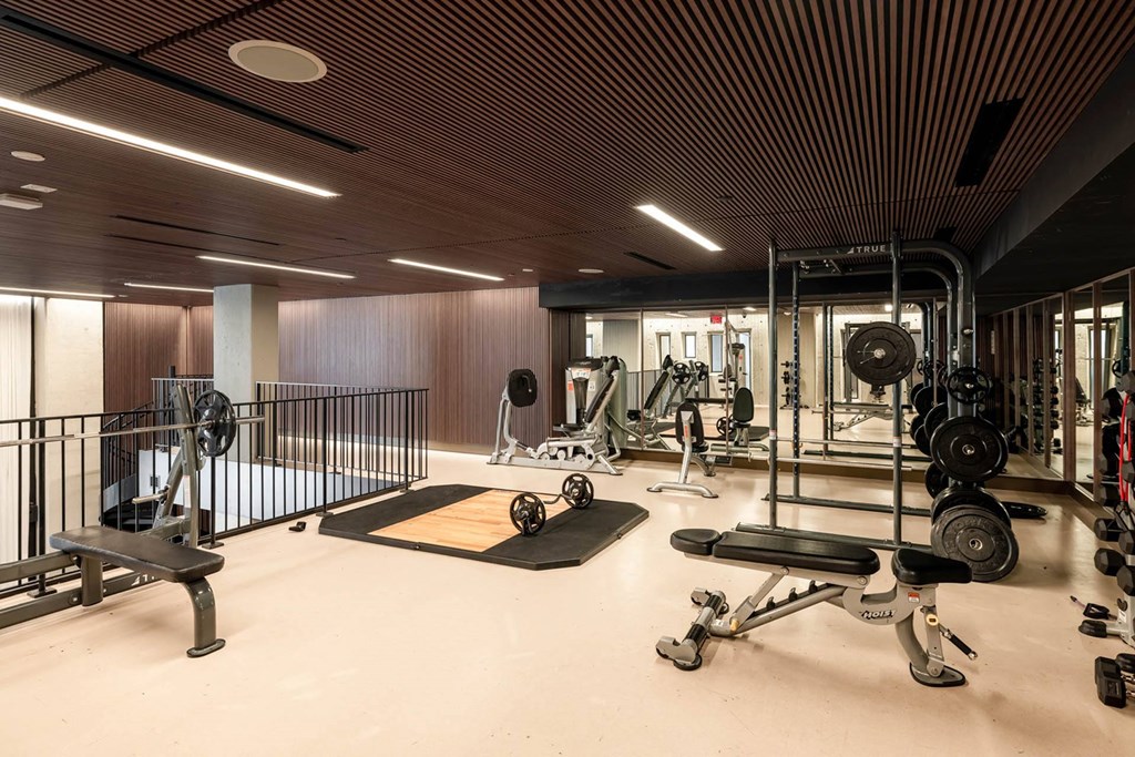 the gym is equipped with weights and other exercise equipment
