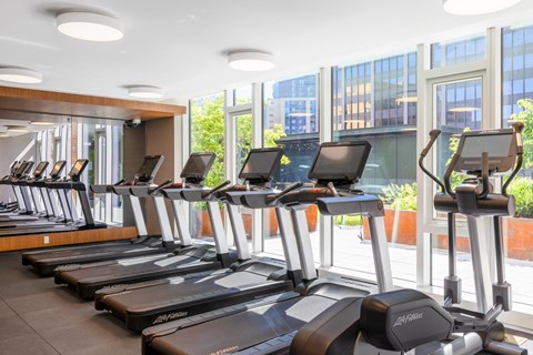 a row of treadmills in a fitness room with windows