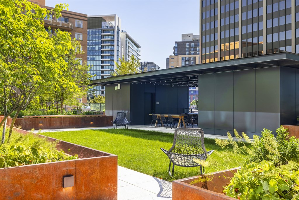 a backyard with a lawn and a table and chairs