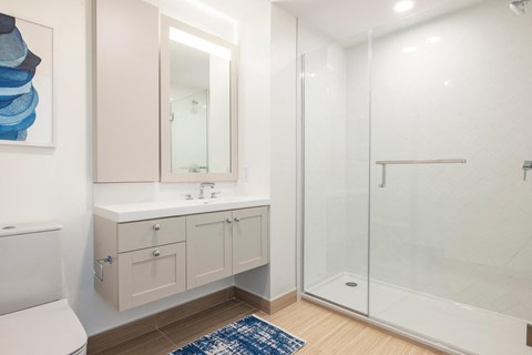a bathroom with a shower and a sink