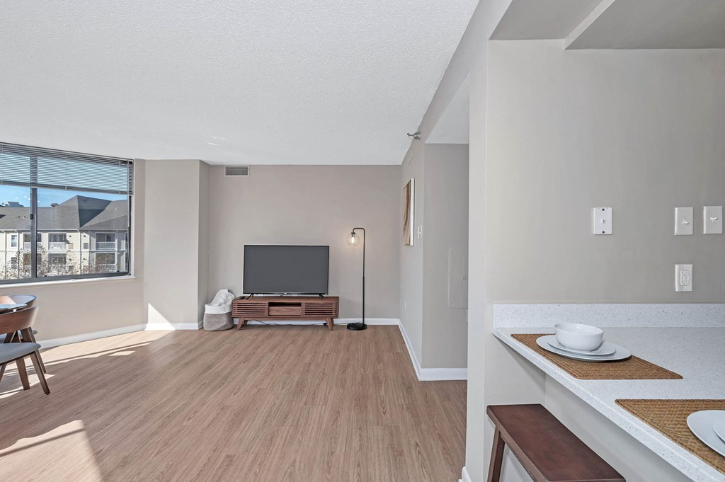 the living room is spacious and has a large window and a tv