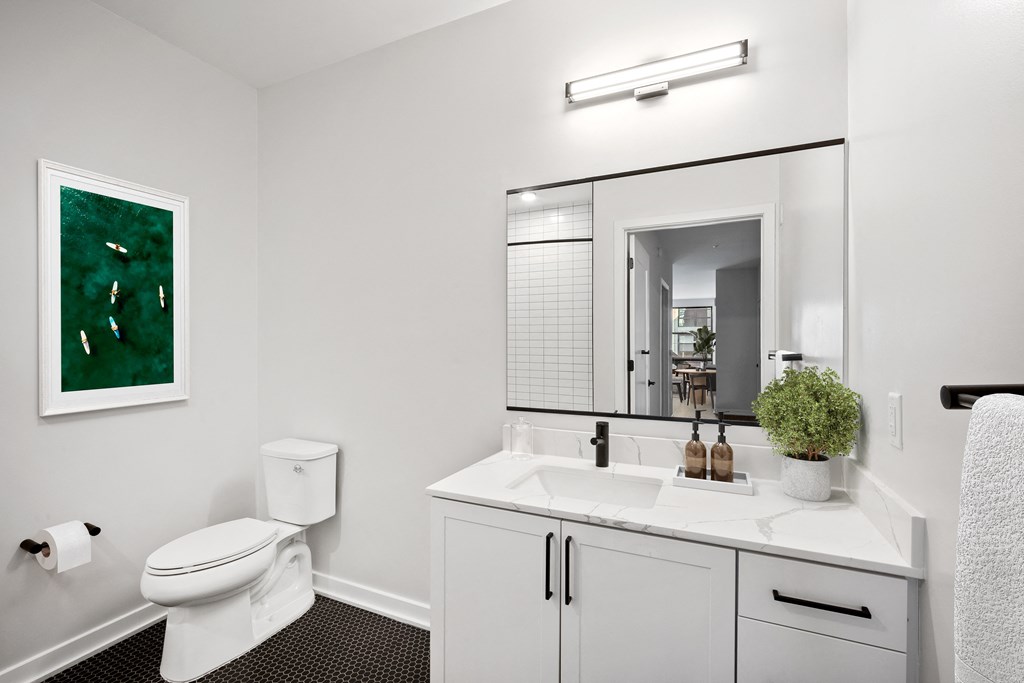 a bathroom with a sink and a toilet and a mirror