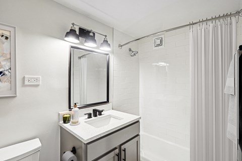a bathroom with a sink and a shower and a mirror