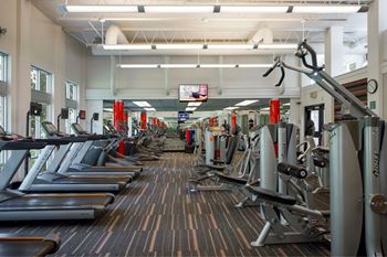 State-of-the-art cardio and weight training equipment