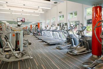 State-of-the-art cardio and weight training equipment