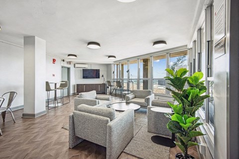 a living room with couches and chairs and a large plant