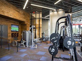 Spa-Quality Fitness Club with Free Weights