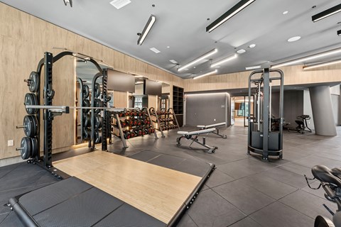 A gym with a variety of equipment including a squat rack, bench, and weights.