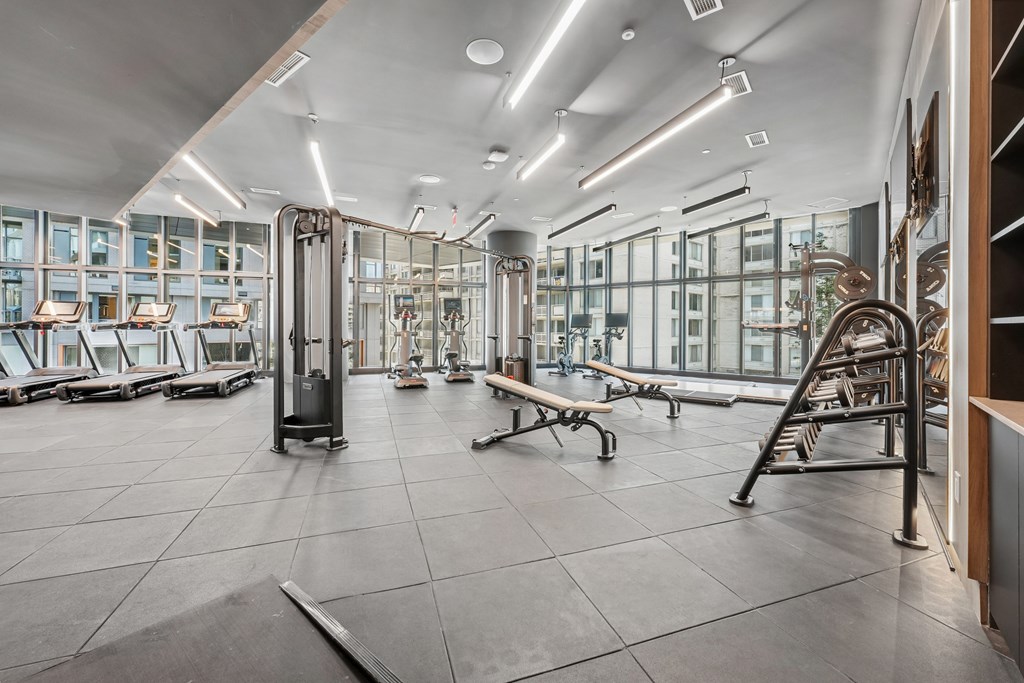 A gym with a variety of equipment including treadmills, weights, and benches.
