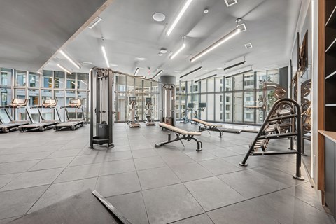 A gym with a variety of equipment including treadmills, weights, and benches.