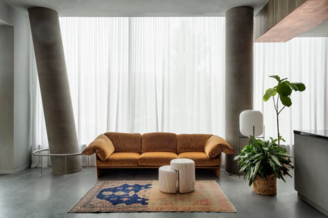A living room with a tan couch, a rug, and a potted plant.