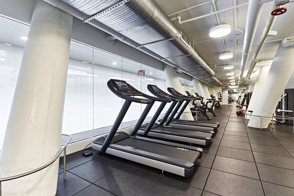 a row of treadmills in a fitness center with white walls