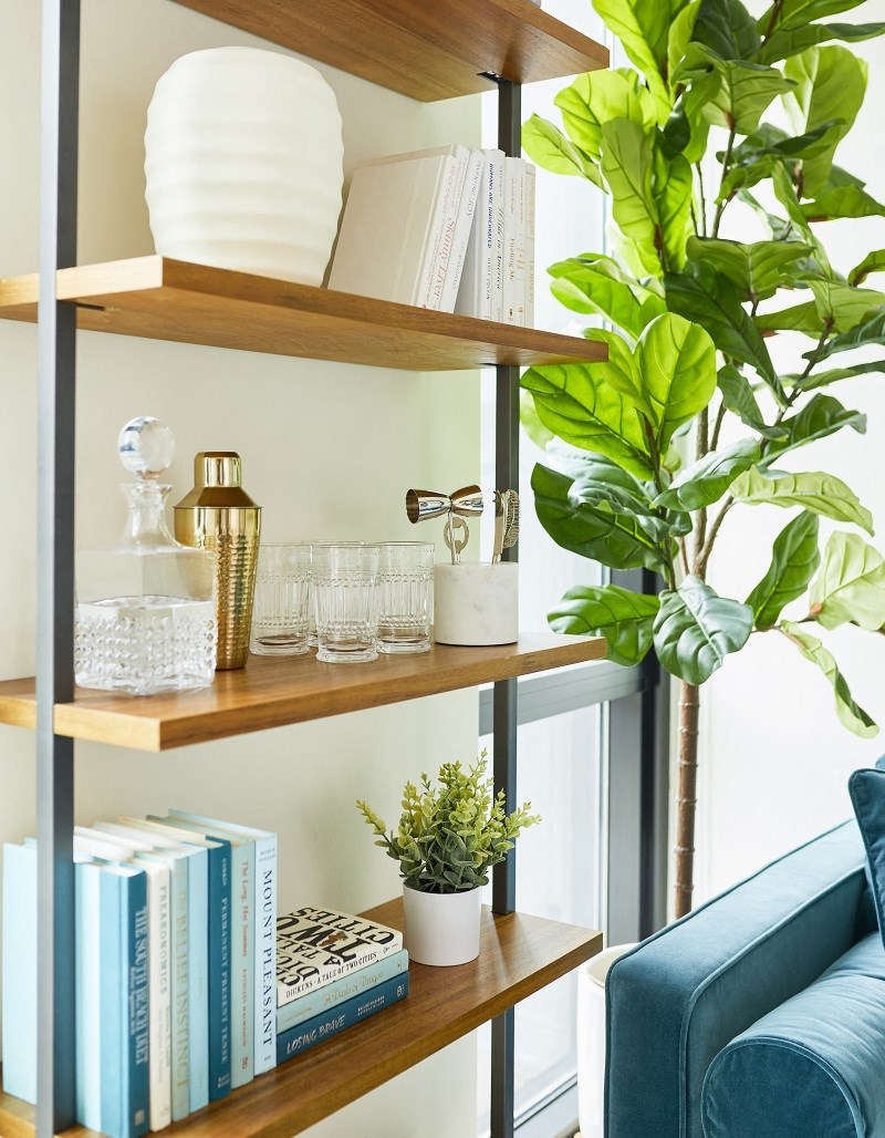 a living room with a shelf with books and plants