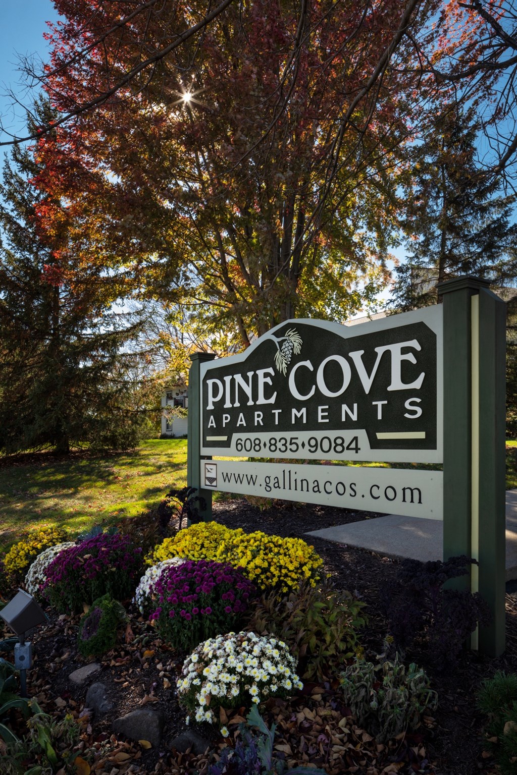 Pine Cove Apartments