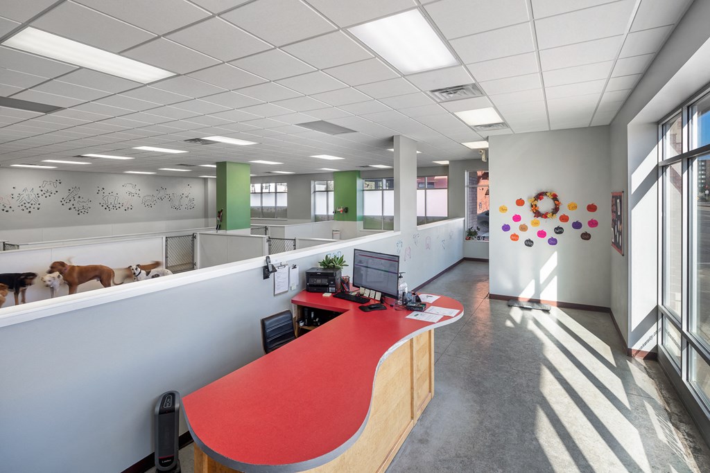 Dog House at The Ideal, Madison, 53715