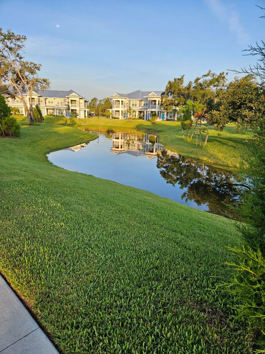 a small pond with houses in the background