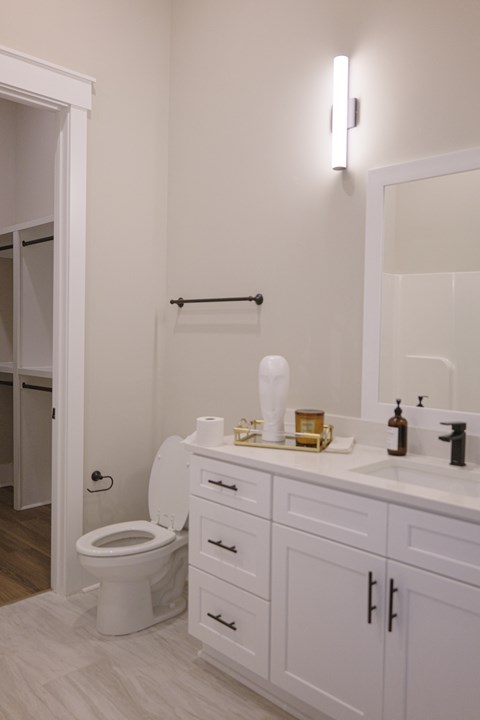 Bathroom at The Lofts at Town Madison, Madison, Alabama