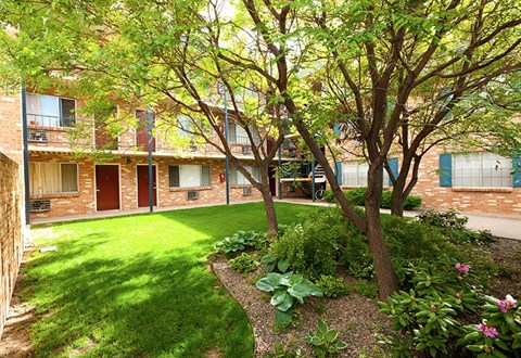 A tree in a garden in front of a building.