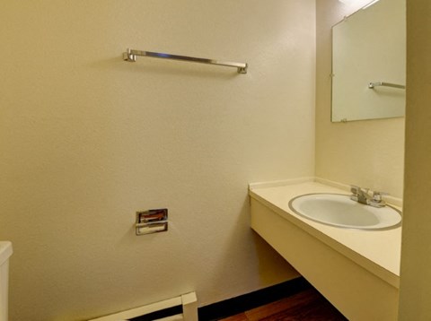 a bathroom with a sink and a mirror