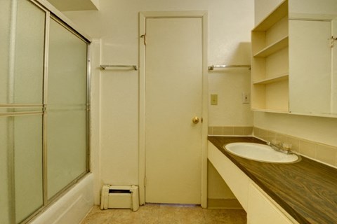 a bathroom with a sink and a shower