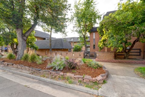 the front yard of a house with a sidewalk and trees