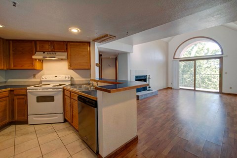 1085 Broadway #19 Kitchen and Living Room