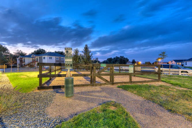 a park with a wooden fence and a water fountain at dusk