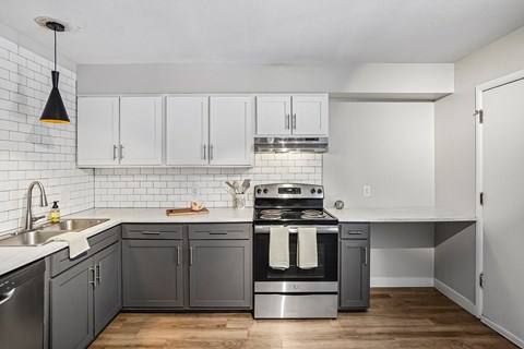 A kitchen with a stove top oven and a dishwasher.