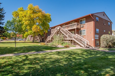A tree with yellow leaves is in front of a red brick building.
