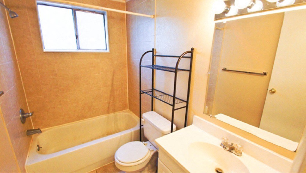 a bathroom with a shower toilet and a sink