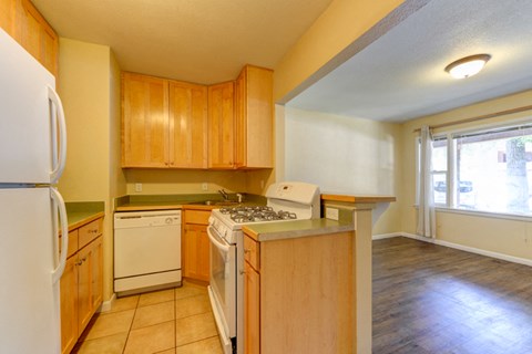 1503-1513 20th Street Kitchen and Living Room