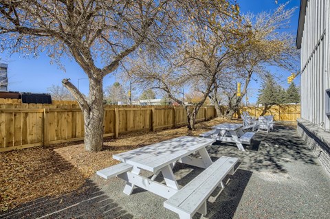 A picnic area with tables and benches surrounded by a wooden fence.