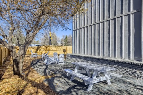 A tree with a yellowish trunk stands next to a white picnic table.