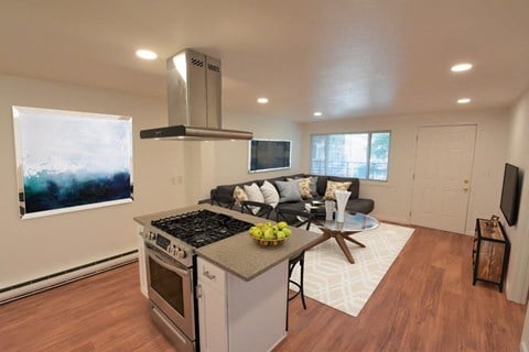 a kitchen and living room with a stove and a table