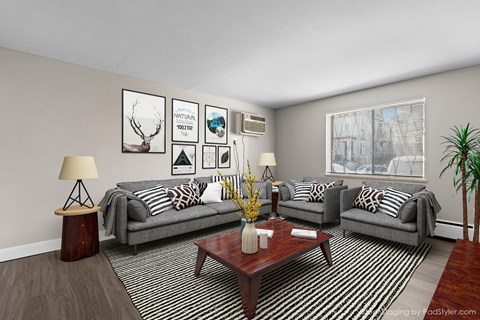 A living room with a grey couch, a coffee table, and a plant.