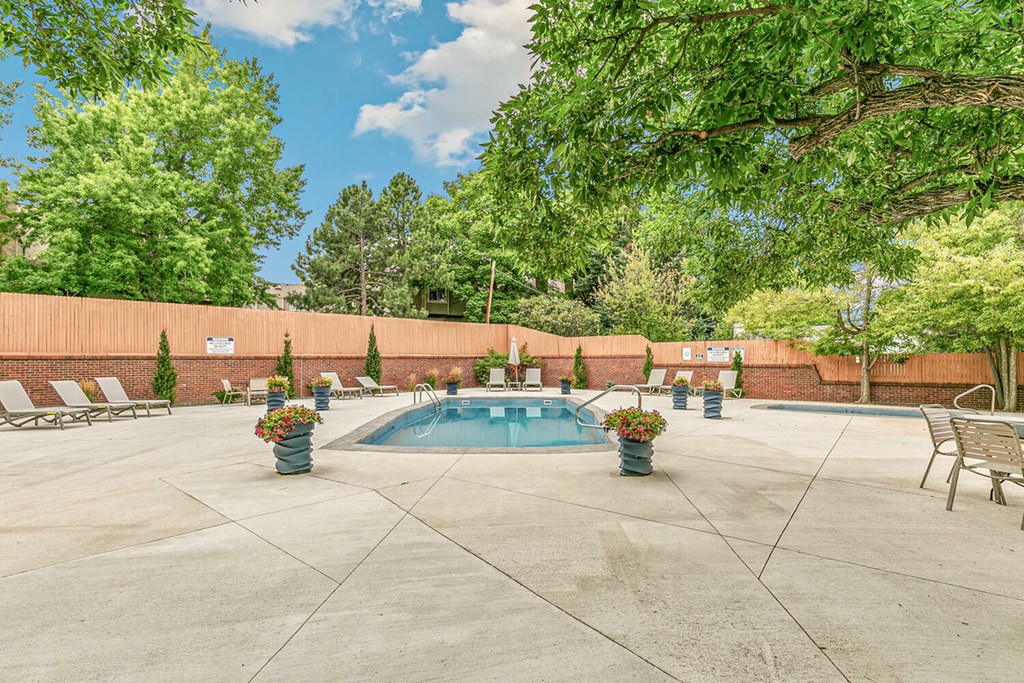 A pool surrounded by a concrete patio and trees.