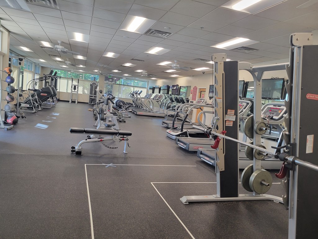 a gym full of weights and cardio equipment