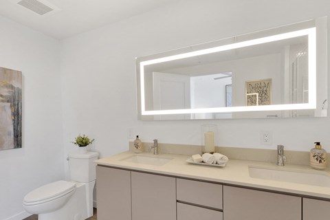 a bathroom with a sink and a mirror and a toilet
