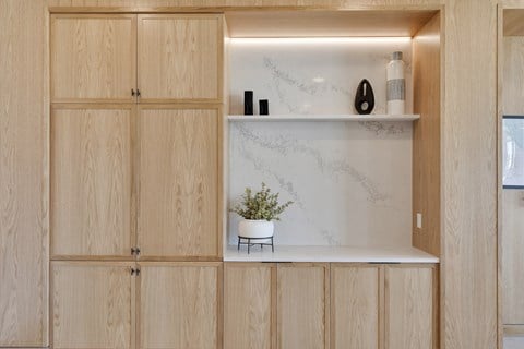 a wall of wooden cabinetry with a white shelf and a plant