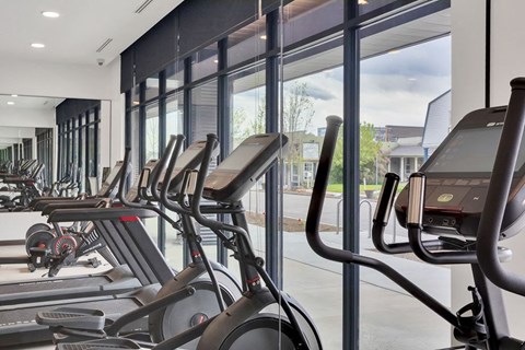 a row of cardio bikes in a gym
