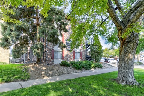 A tree in a grassy area in front of a building.