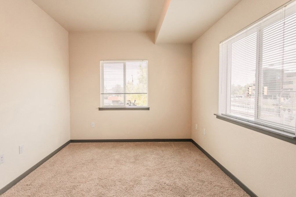 a bedroom with two windows and a carpeted floor