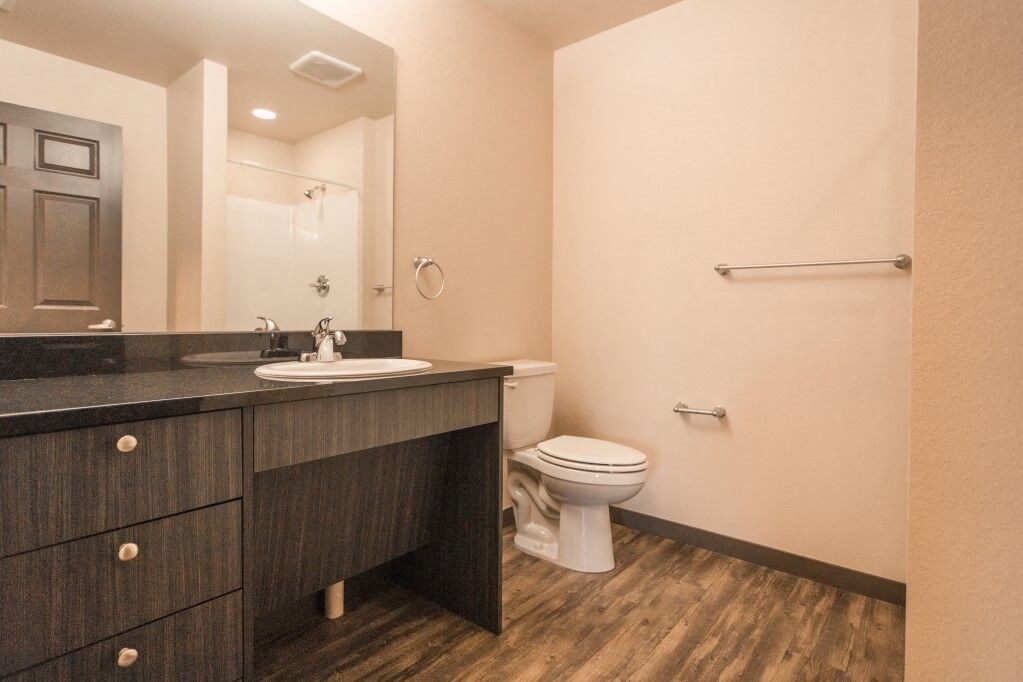 a bathroom with a toilet and a sink and a mirror