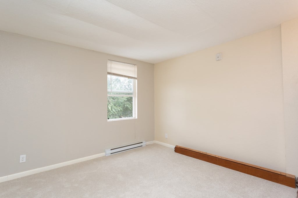 A room with a window and a radiator on the floor.