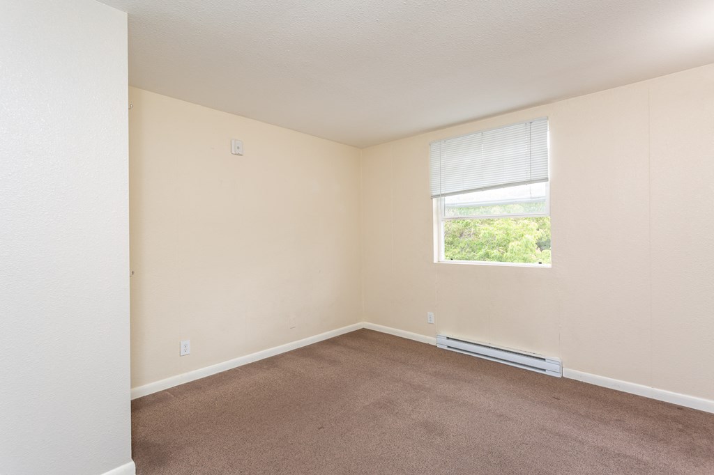 A room with a window and a carpeted floor.